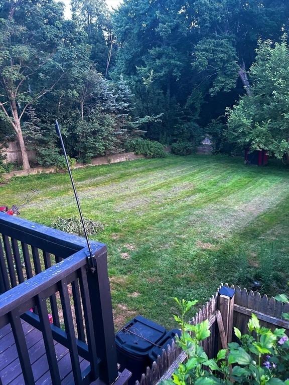 46 Frairy St, Medfield, MA 02052 - view of green lawn