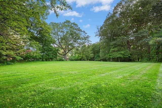 38 S St, Grafton, MA 01519 - view of grassy yard featuring a wooded view