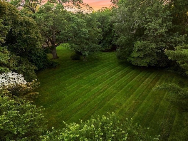 38 S St, Grafton, MA 01519 - view of green lawn