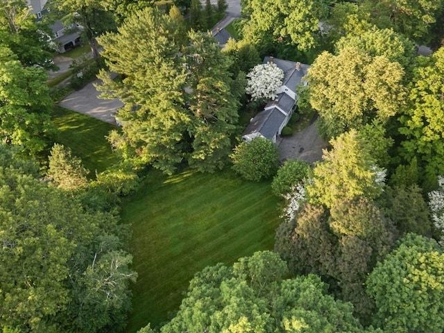38 S St, Grafton, MA 01519 - aerial view of property and surrounding area