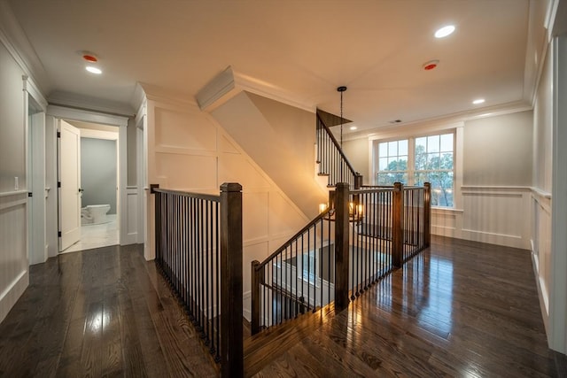 hallway with crown molding and dark wood-type flooring