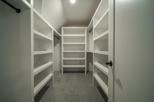 spacious closet with carpet floors