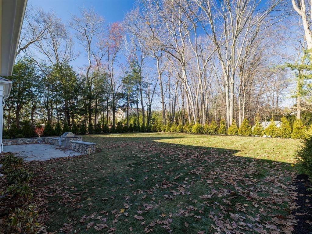 view of yard with a patio area