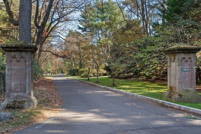 view of road with curbs