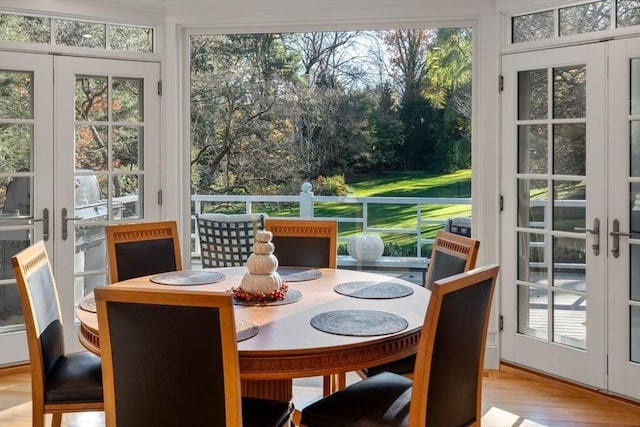 sunroom / solarium with french doors