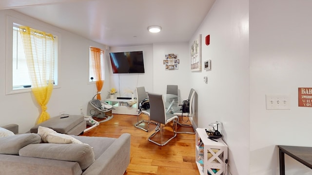 living room featuring light wood-type flooring