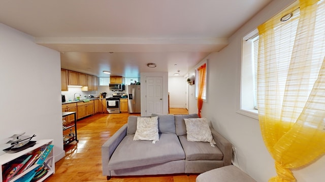 living room with sink, light hardwood / wood-style floors, and plenty of natural light