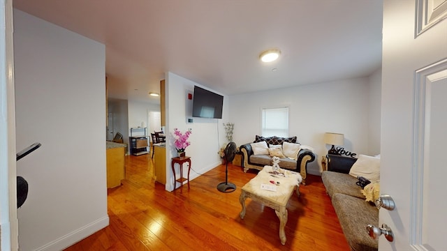 living room with hardwood / wood-style flooring