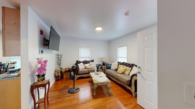 living room featuring light hardwood / wood-style flooring