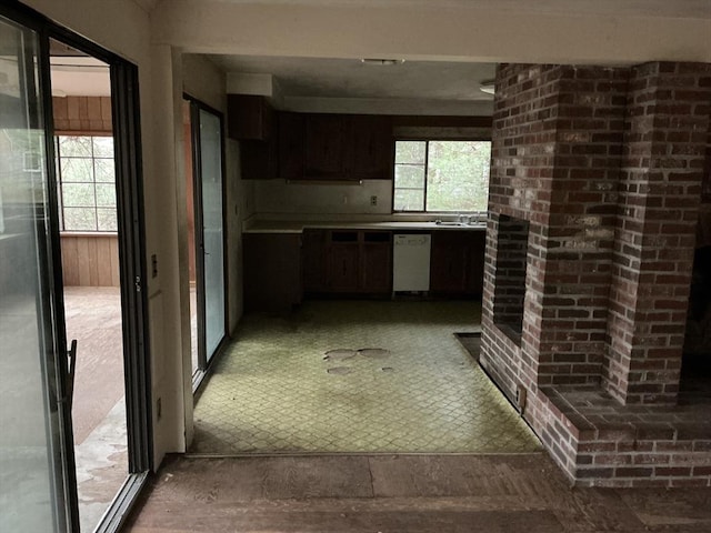 kitchen with a sink, plenty of natural light, a fireplace, and dishwasher