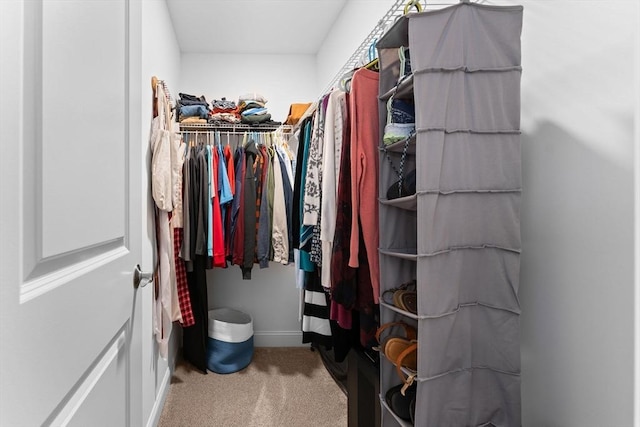 spacious closet with carpet