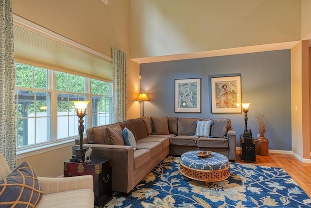 44 Stevens Rd Unit 44, Hudson, MA 01749 - living area with wood finished floors and a towering ceiling