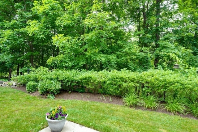 44 Stevens Rd Unit 44, Hudson, MA 01749 - view of green lawn