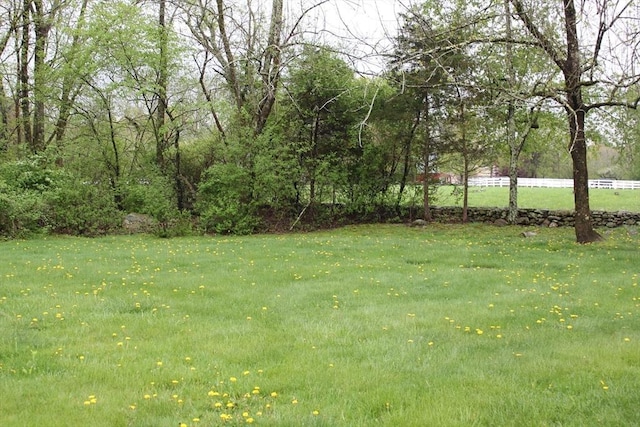 view of green lawn