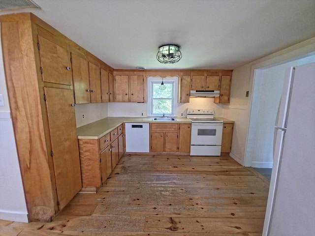 48 Sofia Rd, Stoughton, MA 02072 - kitchen featuring white appliances, under cabinet range hood, light wood-style floors, light countertops, and brown cabinetry