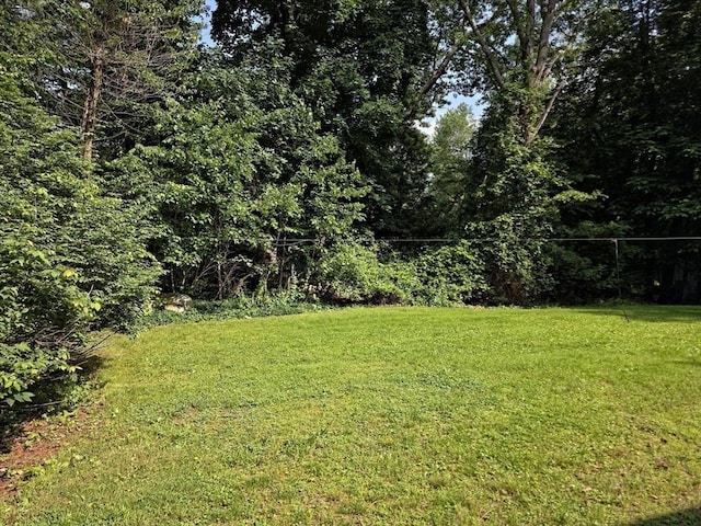 48 Sofia Rd, Stoughton, MA 02072 - view of yard