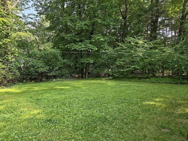 48 Sofia Rd, Stoughton, MA 02072 - view of green lawn with a view of trees
