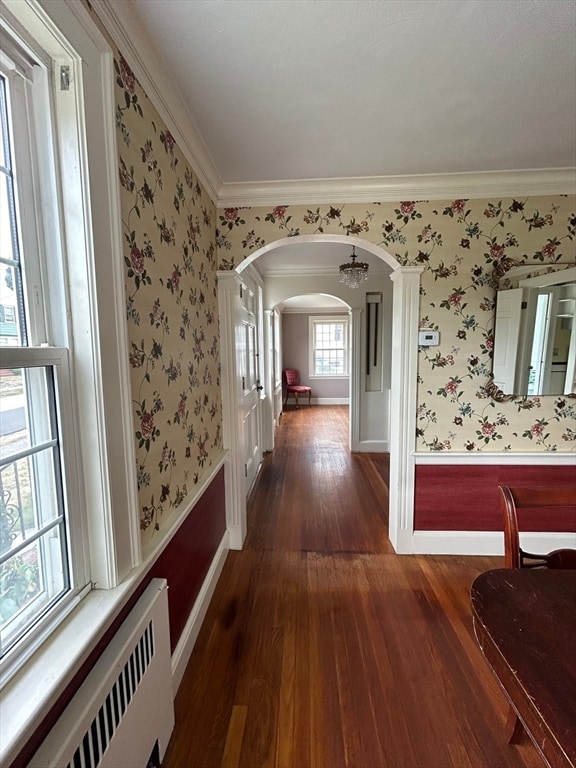 hallway featuring radiator, dark hardwood / wood-style floors, and crown molding