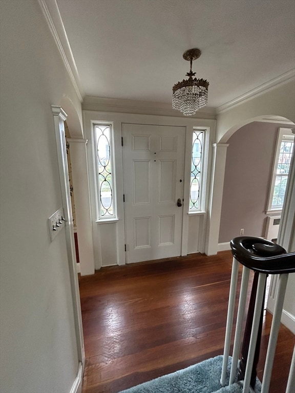 foyer featuring ornamental molding, plenty of natural light, and dark hardwood / wood-style flooring