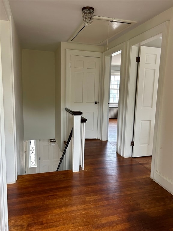 hallway with dark hardwood / wood-style flooring and radiator heating unit