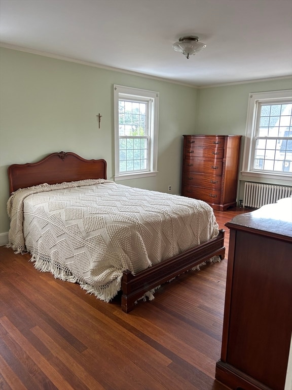 bedroom with radiator heating unit, multiple windows, and dark hardwood / wood-style flooring