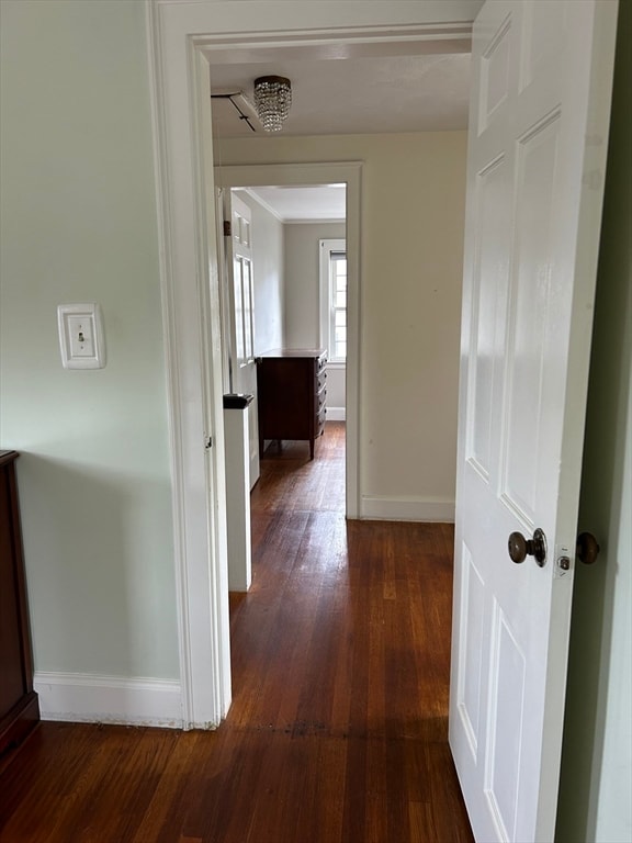 hall featuring dark hardwood / wood-style flooring