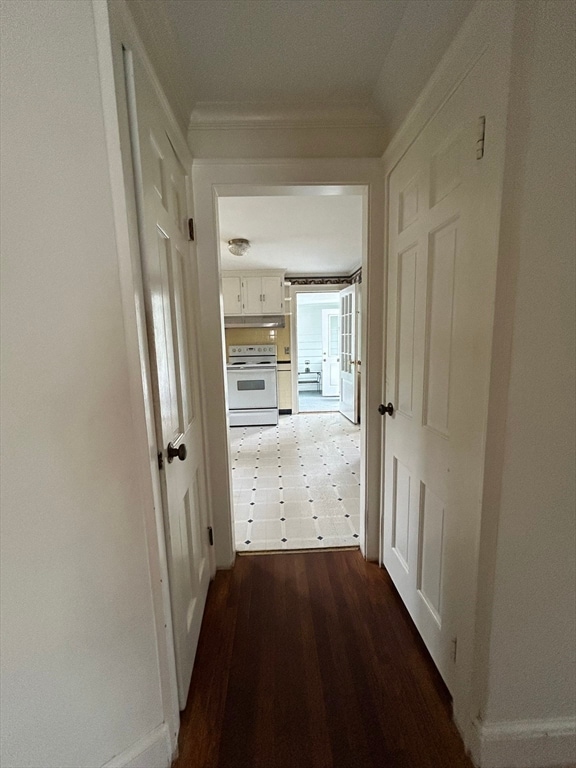 hallway featuring ornamental molding and dark hardwood / wood-style flooring