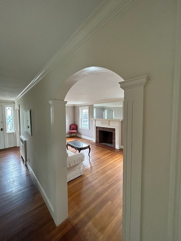 corridor featuring radiator, hardwood / wood-style flooring, and crown molding