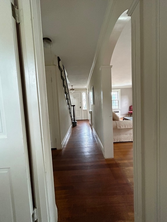 hall featuring ornamental molding and dark hardwood / wood-style floors