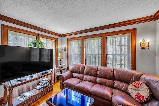 68 Ingersoll Grv, Springfield, MA 01109 - living area with crown molding, a textured ceiling, and wood finished floors