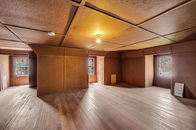 68 Ingersoll Grv, Springfield, MA 01109 - additional living space featuring wooden walls, hardwood / wood-style flooring, and a wealth of natural light
