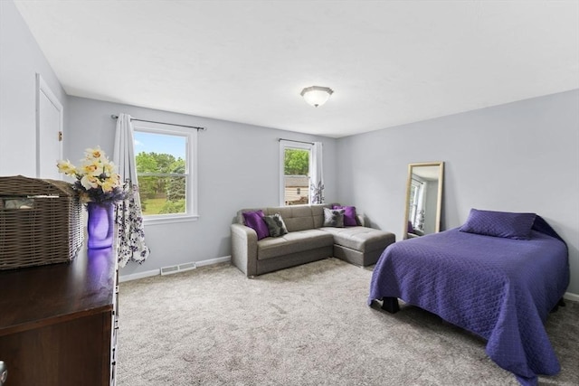 18 Buena Vis Unit 18, Franklin, MA 02038 - carpeted bedroom with baseboards
