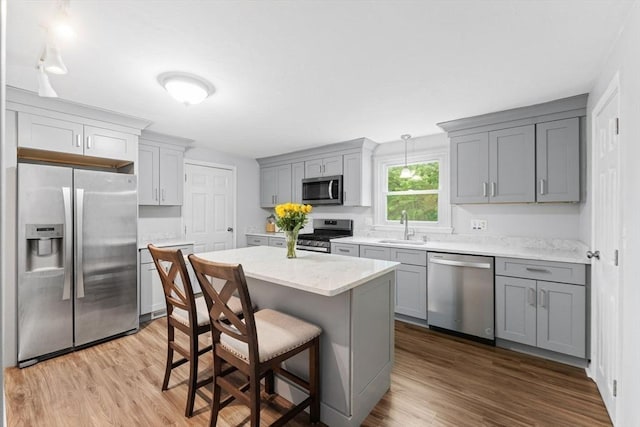 18 Buena Vis Unit 18, Franklin, MA 02038 - kitchen with appliances with stainless steel finishes, gray cabinetry, a sink, and wood finished floors