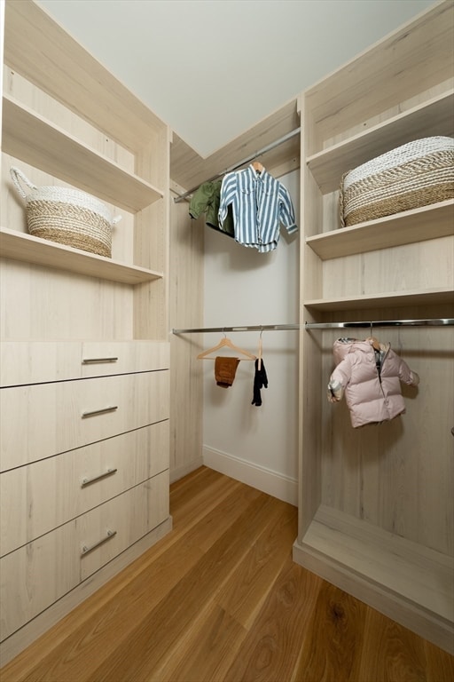 spacious closet featuring wood-type flooring