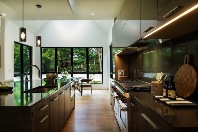 kitchen featuring dark brown cabinetry, sink, high vaulted ceiling, stainless steel stove, and light hardwood / wood-style floors