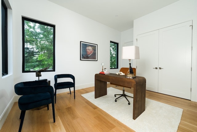 office featuring light hardwood / wood-style floors