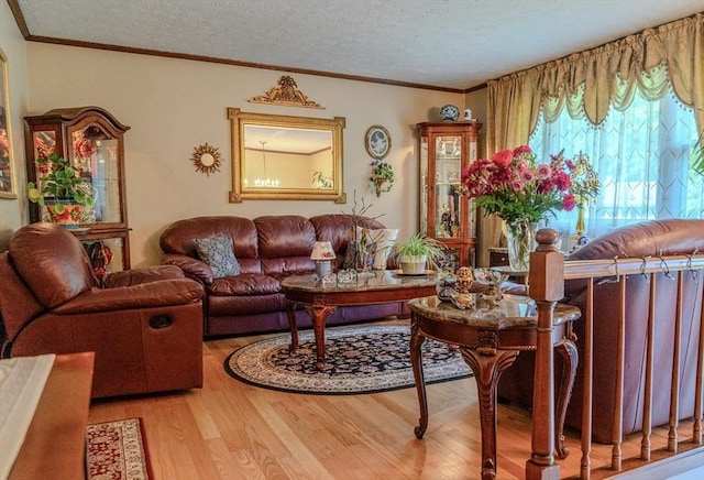 171 David Cir, Putnam, CT 06260 - living room with wood finished floors, a textured ceiling, and crown molding