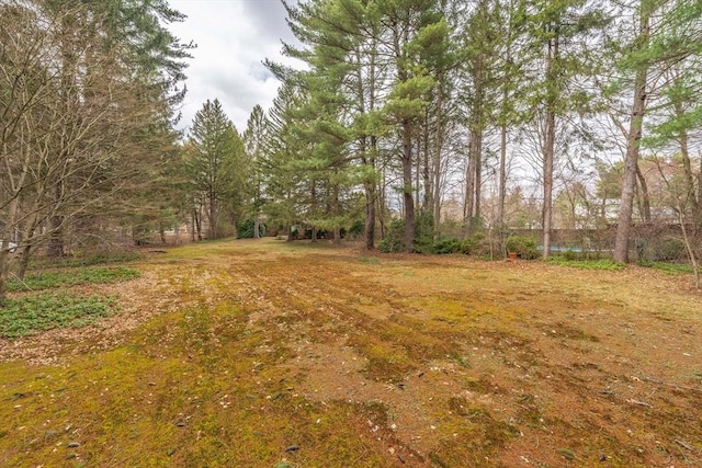 399 Elm St, East Longmeadow, MA 01028 - view of yard