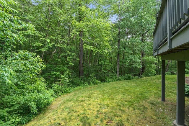 85 Green Meadow Ct, Northbridge, MA 01588 - view of grassy yard with a view of trees