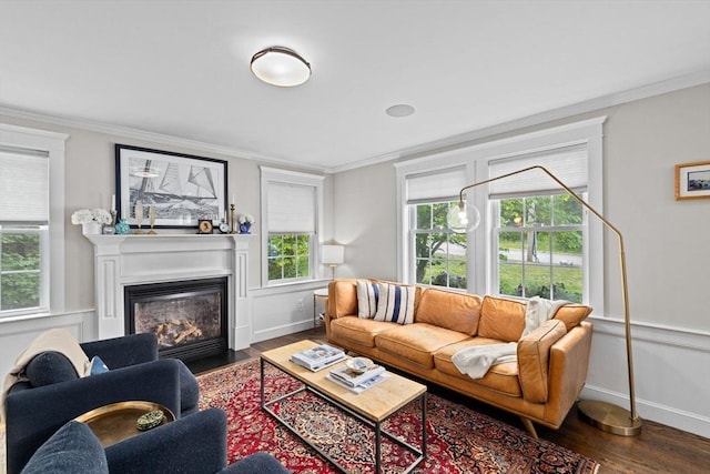 161 Hollett St, Scituate, MA 02066 - living room featuring wood finished floors, a fireplace with flush hearth, ornamental molding, and healthy amount of natural light