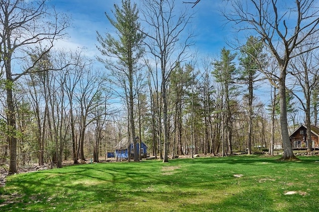 view of yard featuring a view of trees