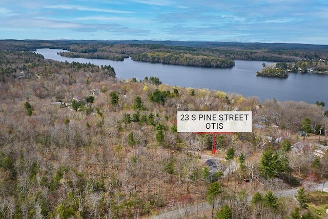 birds eye view of property featuring a water view and a view of trees