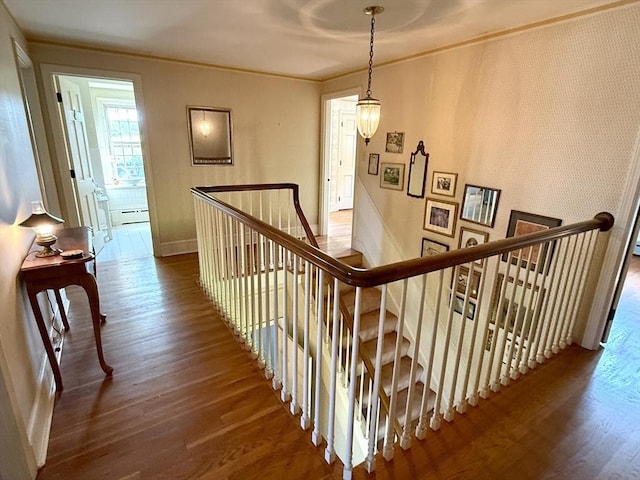 631 Elm St, Dartmouth, MA 02748 - staircase featuring wood finished floors, ornamental molding, and baseboard heating