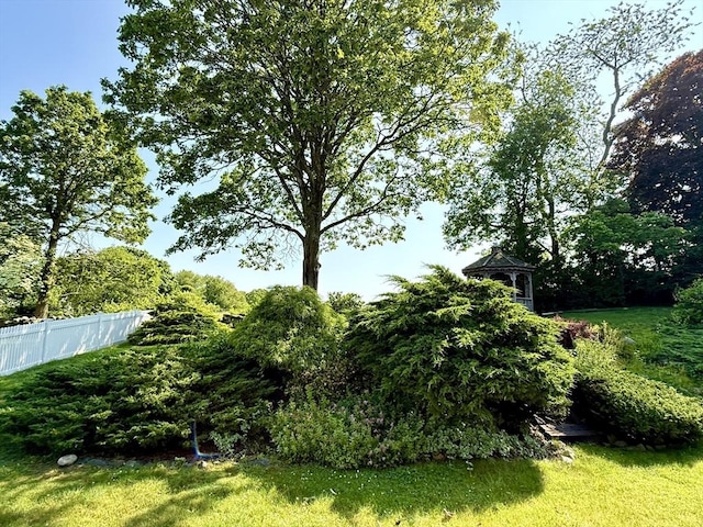 631 Elm St, Dartmouth, MA 02748 - view of yard