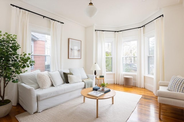 living room with crown molding and wood finished floors