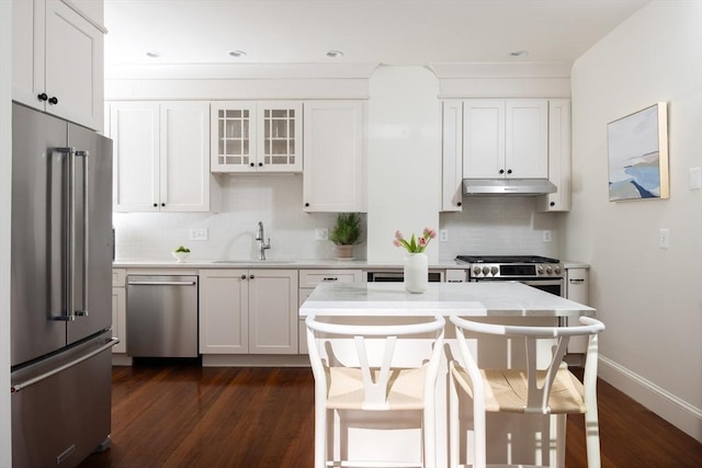 kitchen featuring backsplash, under cabinet range hood, light countertops, stainless steel appliances, and a sink