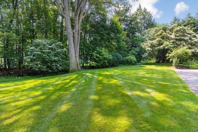 217 Conant Rd, Weston, MA 02493 - view of green lawn