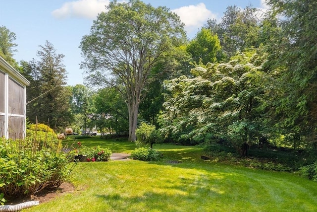 217 Conant Rd, Weston, MA 02493 - view of green lawn
