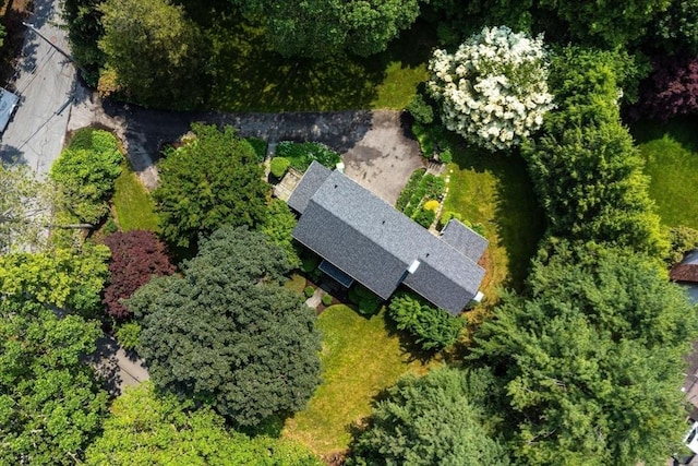217 Conant Rd, Weston, MA 02493 - aerial view