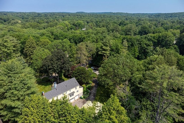 217 Conant Rd, Weston, MA 02493 - view from above of property with a heavily wooded area